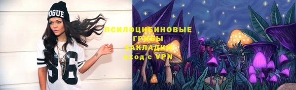 твердый Абинск