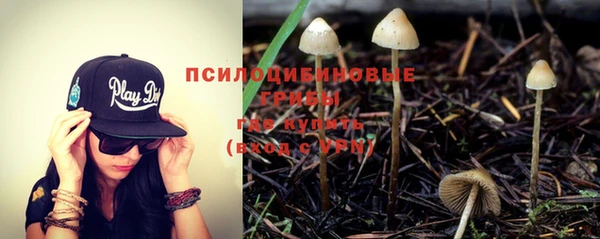 твердый Абинск
