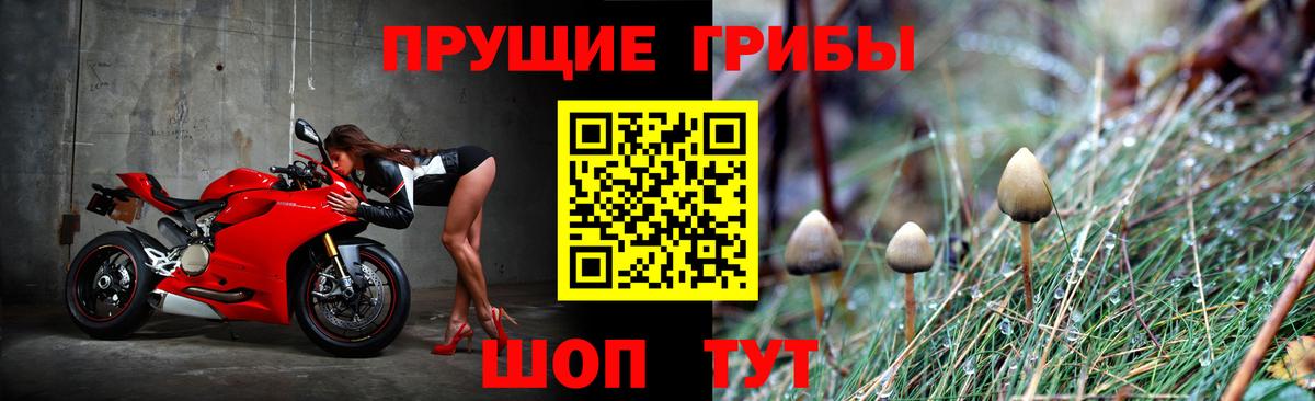 Псилоцибиновые грибы мицелий Керчь